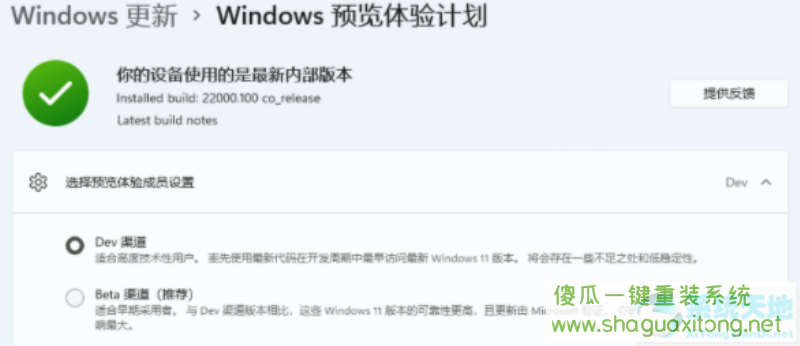 不符合要求的老电脑升级Beta和Dev版本的Win11系统的方法-图示3
