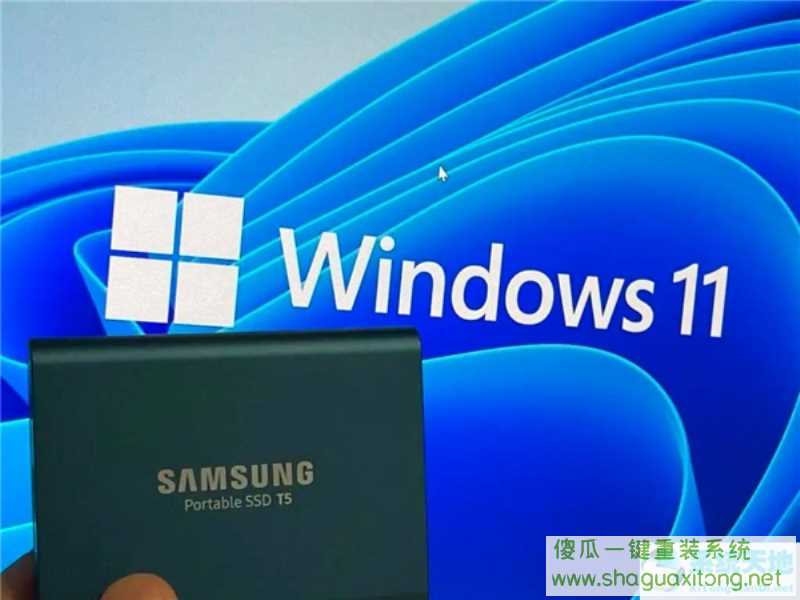 怎么在Windows11中备份文件并降级回Windows10？-图示1