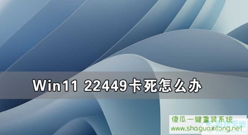 Win11 22449卡死怎么办 Win11 22449卡死的解决方法-图示1