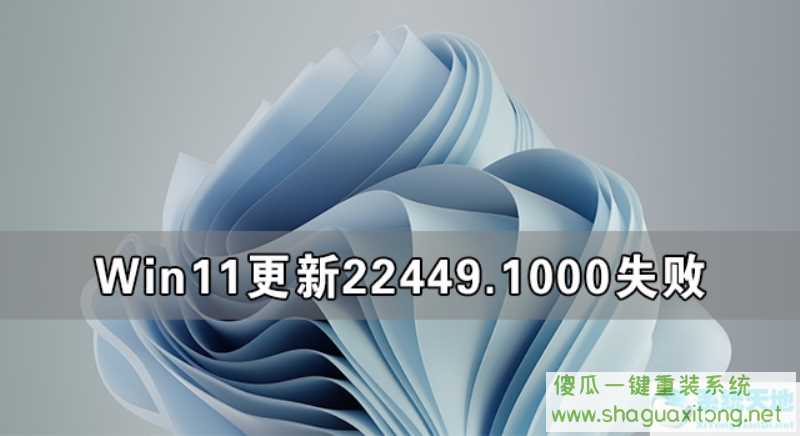 Win11更新22449.1000失败 Win11 22449.1000更新安装失败解决方法-图示1