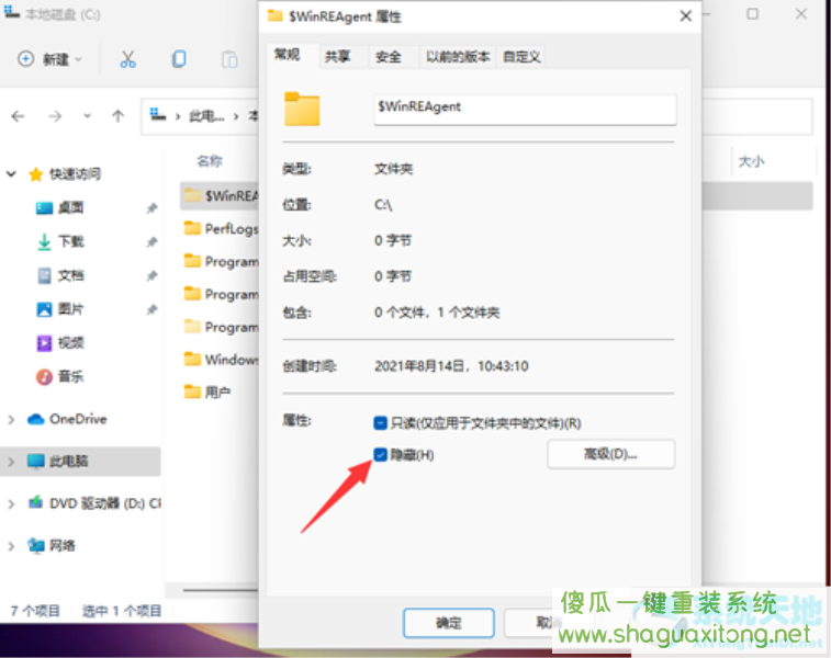 Win11如何查看所隐藏的文件？Win11查看隐藏的文件的方法-图示4